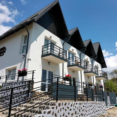 Hotel Conacul Doamnei Nucsoara Exterior foto