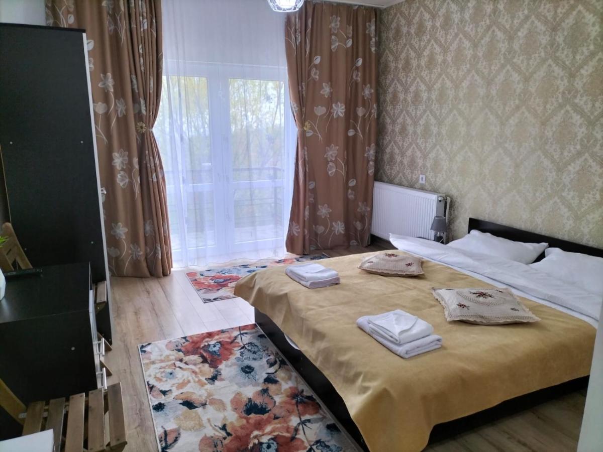Hotel Conacul Doamnei Nucsoara Exterior foto