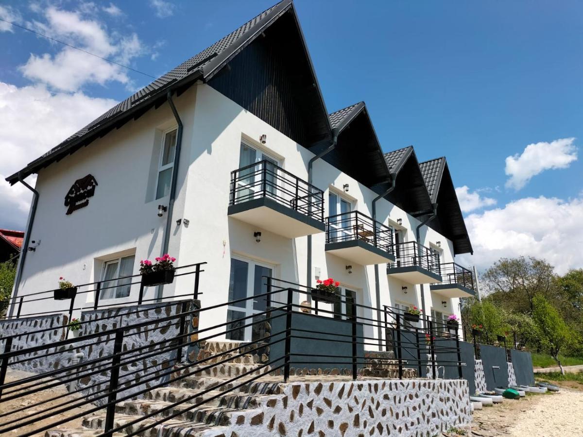 Hotel Conacul Doamnei Nucsoara Exterior foto