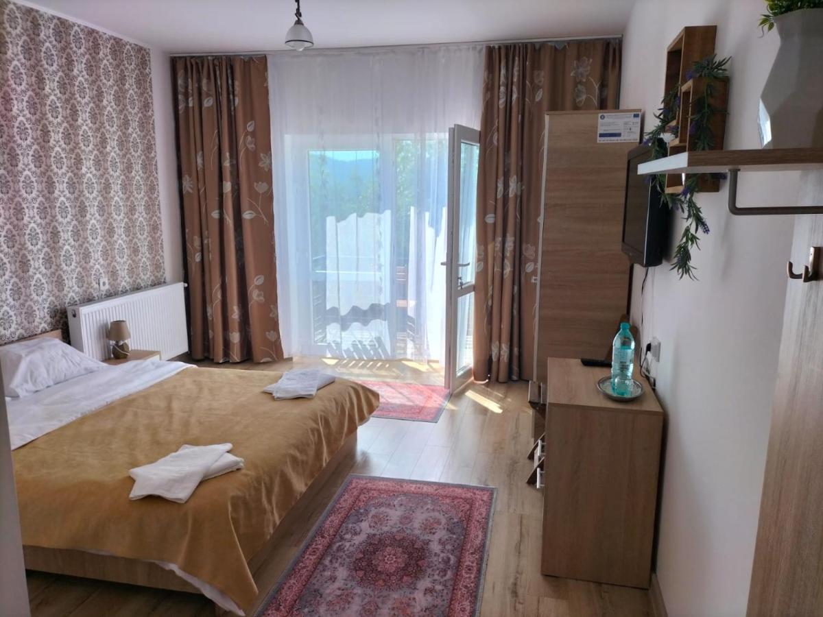 Hotel Conacul Doamnei Nucsoara Exterior foto