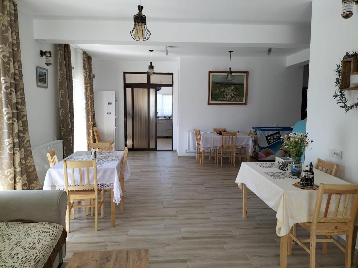 Hotel Conacul Doamnei Nucsoara Exterior foto