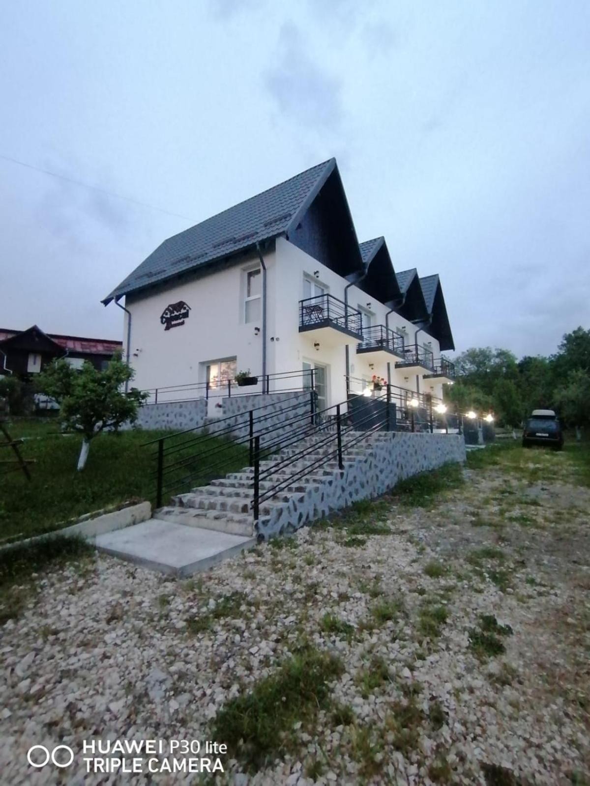 Hotel Conacul Doamnei Nucsoara Exterior foto