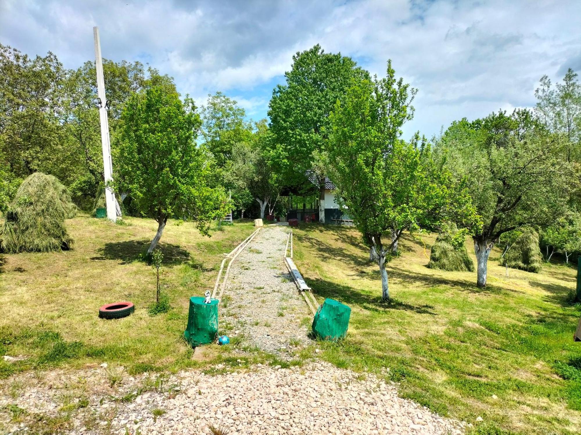 Hotel Conacul Doamnei Nucsoara Exterior foto